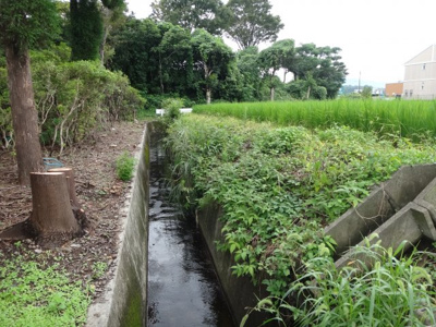 【外観】 | 大津町室土地 | 南から撮影物件西側の外観です