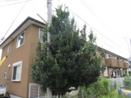 調布市入間町１丁目のアパートの画像