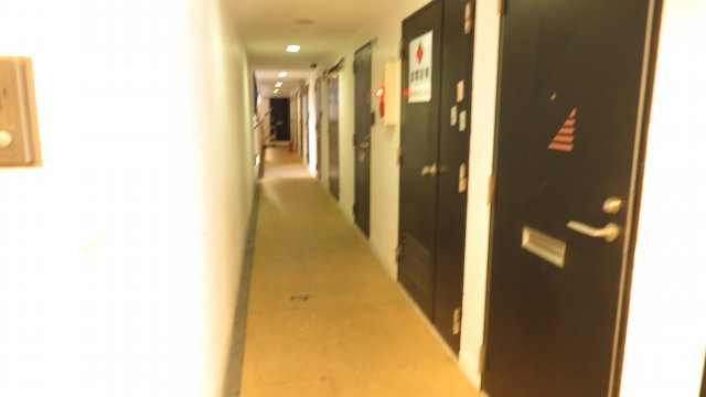 ヴィレッジリバー千日前のその他共用部分