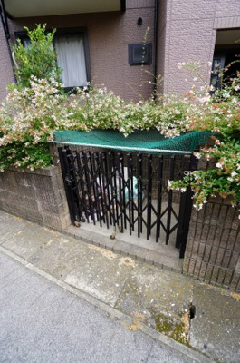 【その他共用部分】 | フェニックスB