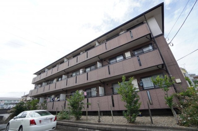 【その他】 | フェニックスB