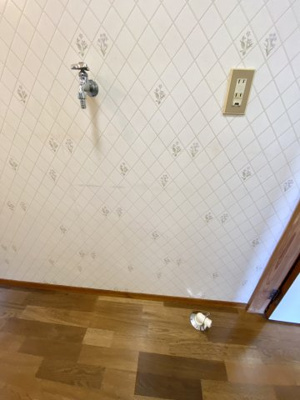 【その他】 | メゾン・ド・mofu