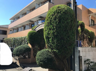 白楽センチュリーフラットの画像