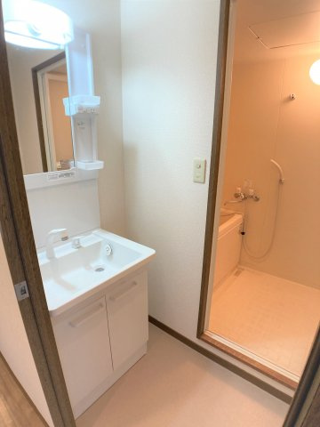 第10タツミビルの洗面所