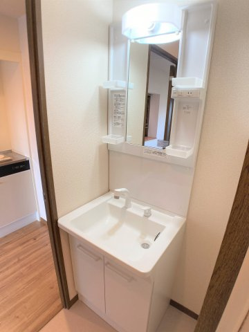 第10タツミビルの洗面所