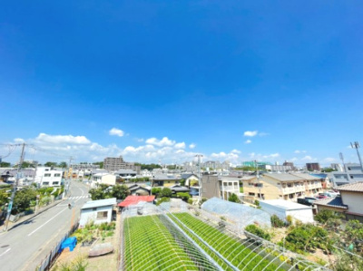 【展望】 | SAK'S ESAKA(サックスエサカ)