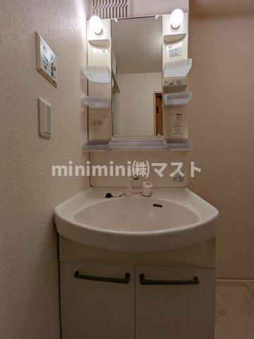 メゾン・ド・セリジェの洗面所