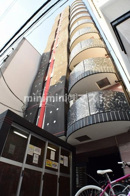 ゼウス桜川プレミアム