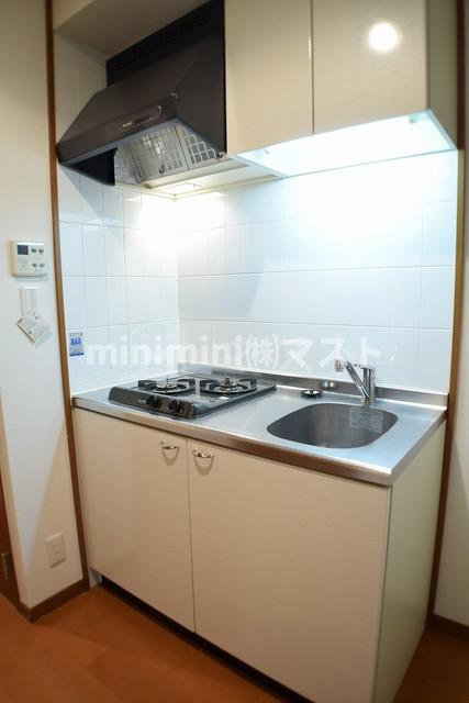 幸田マンション幸町のキッチン|2口ガスコンロキッチン