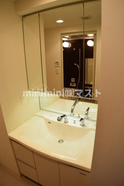 プレサンス難波フィネストの洗面所