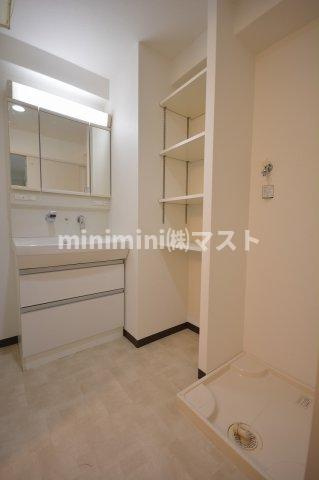 フェリーチェ難波の洗面所