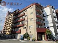 サンシャイン大国の画像