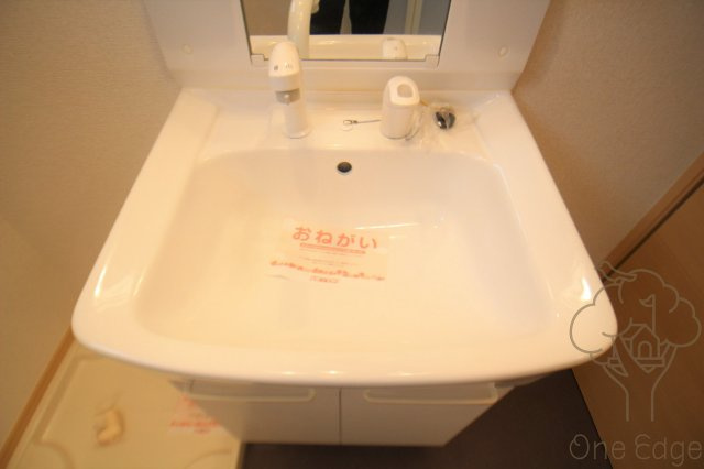 ハイツAntopoの独立洗面台
