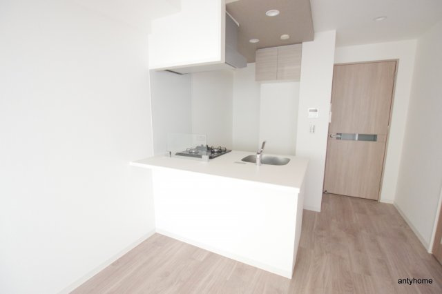 ラドゥセール谷町　仲介手数料無料の内装