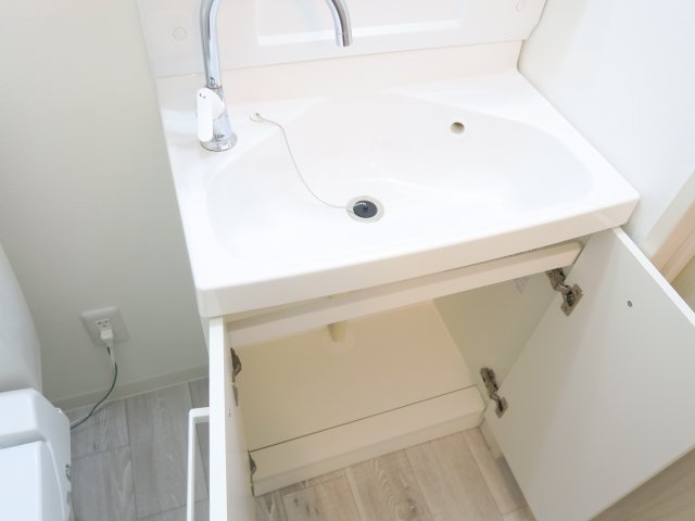 ルミエル本八幡の洗面所