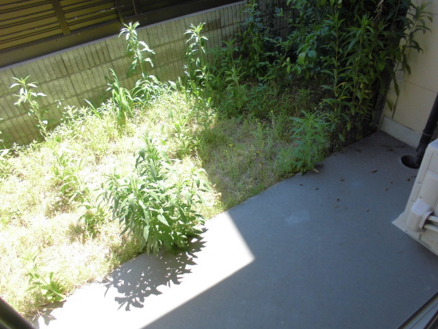 【庭】 | ミューズ・ショコラ