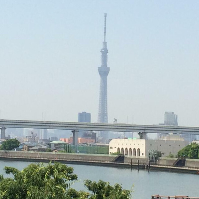 【展望】 | リパーリオⅧ