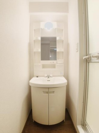 オクトフラッツKの洗面所