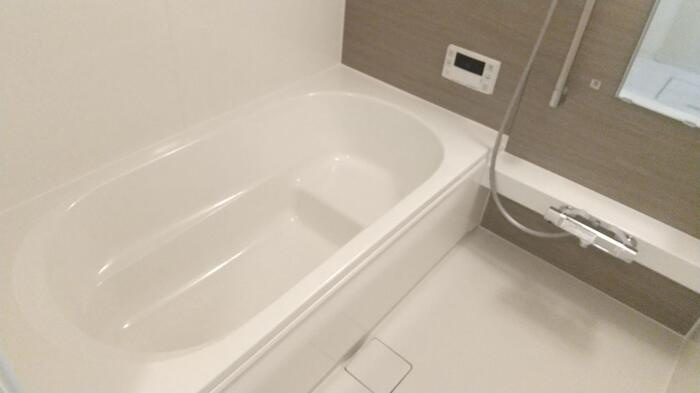 D-room日前宮前の浴室
