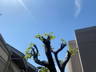 【その他】 | ステージファースト世田谷若林