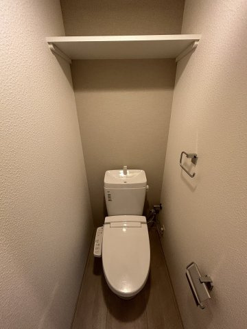 エスリード中之島ＳＯＵＴＨのトイレ