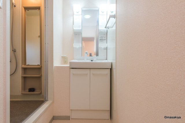 フレマリール若宮の洗面所