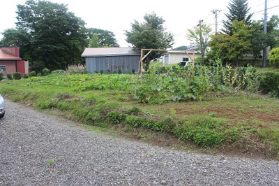 【外観】 | 洋野町大野