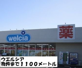【周辺】 | ウエルシアまで1100m