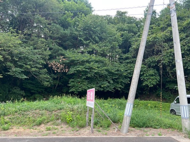 岩泉小本字大牛内の前面道路含む現地写真