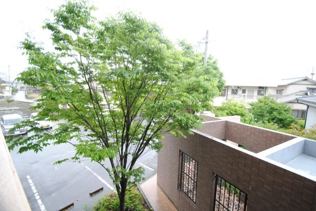 ヴェルドミール湯乃坂の展望