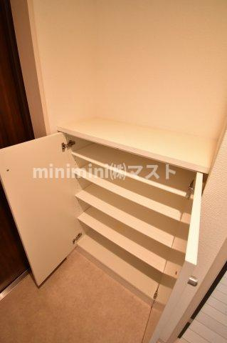 ES-Grande Minamimorimachi(エスグランデ南森町)の収納