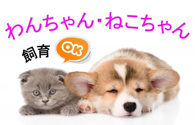 【その他】 | 西青山ハイツ