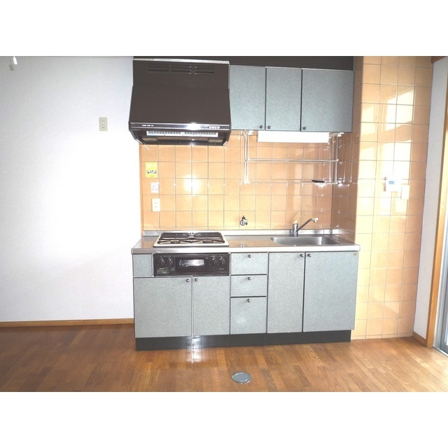 シルキーハウスＨＯＲＩのキッチン|専用台所