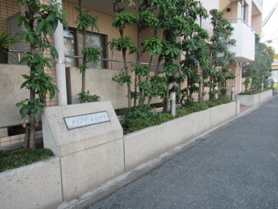 【エントランス】 | メゾン・ド・エスパース（高井田賃貸） | エントランスです