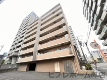 アムールMの画像