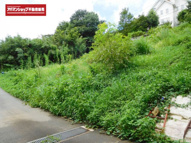 函南町上沢 売土地 ET03444の画像