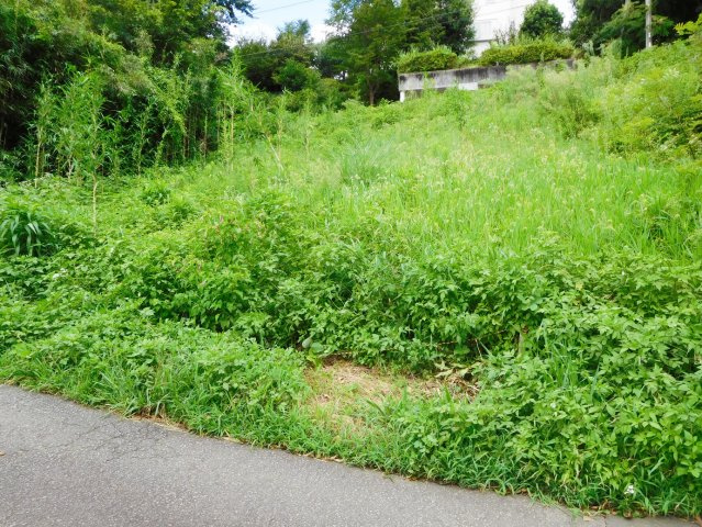 【外観】 | 函南町上沢 売土地 ET03444 | 函南町上沢　外観