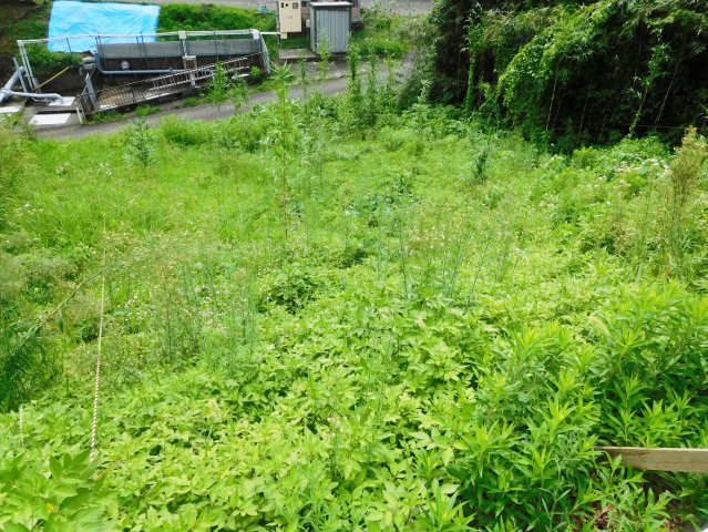 【外観】 | 函南町上沢 売土地 ET03444 | 函南町上沢　外観