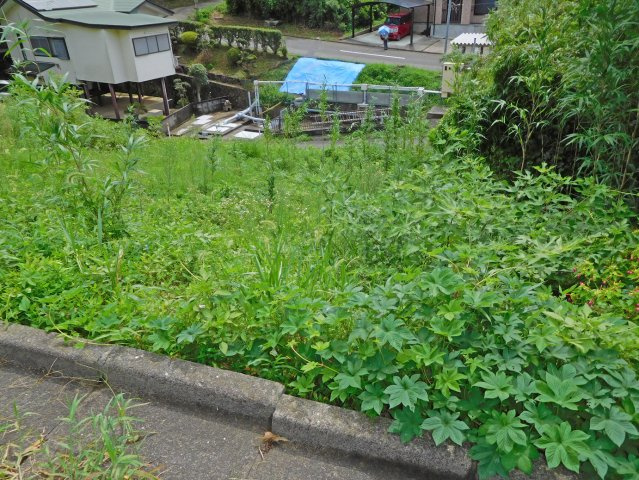 【外観】 | 函南町上沢 売土地 ET03444 | 函南町上沢　外観