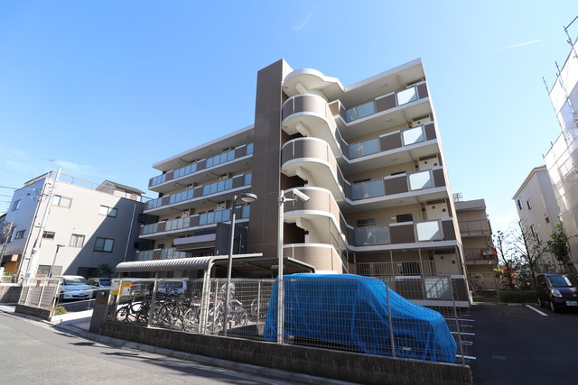 フローレス　ハナミズキ