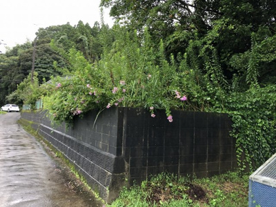 【外観】 | 高城町土地