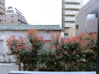 【展望】 | 別室参考写真