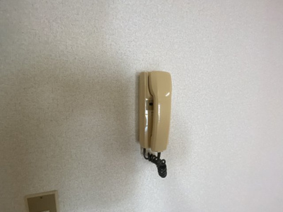 【セキュリティ】 | 三鷹ロイヤルハイツ