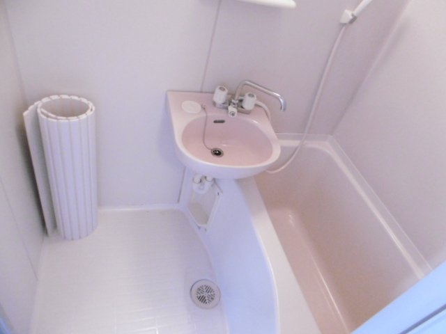 フラッツ17の洗面所