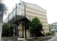 ハピネスの画像