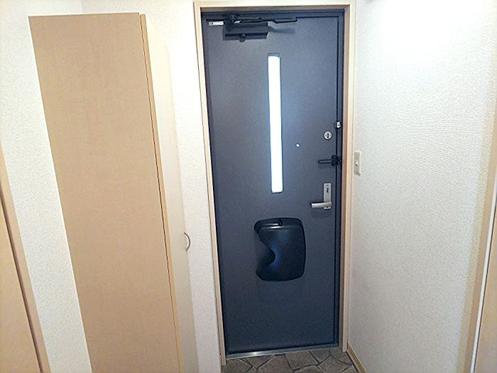 メゾンボヌール（D-room賃貸）の玄関