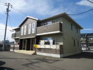 ウェスティ一色の画像