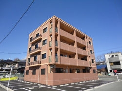 サニースポット