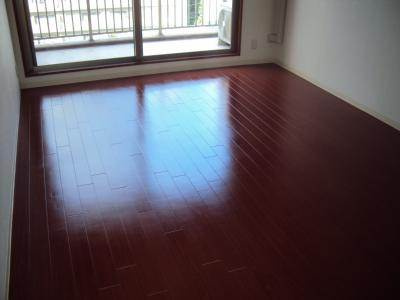 プラネシア星の子京都御所の居間・リビング|室内