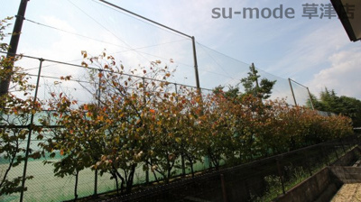 【展望】 | マザーレイクⅡ